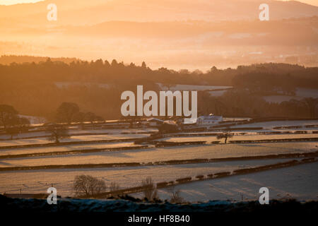 Eine gefrorene Farm und Felder in der Nähe von Dorf Rhsoesmor im Norden von Wales bei Sonnenaufgang nach als Nächte harten Frost über die ländliche Landschaft Stockfoto