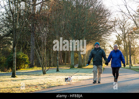 Aberystwyth Wales UK, Mittwoch, 28. Dezember 2016 UK Wetter: Passanten Aling Plas Crug Avenue an einem kalten und frostigen Morgen in Aberystwyth, nach einer klaren Nacht mit Temperaturen stürzen weit unter Null. Bildnachweis: Keith Morris/Alamy Live-Nachrichten Stockfoto