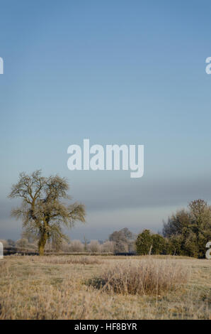 Milton Keynes, England, Vereinigtes Königreich. 28. Dezember 2016. Calverton, Milton Keynes. 28. Dezember 2016. Großbritannien Wetter. Eine eisige nebligen Kaltstart mit einem sehr starkem Frost um ländliche malerische Dorf Calverton, Milton Keynes. -3 Grad Celsius aufgezeichnet wurden, und Höhen heute werden voraussichtlich 4 Grad zu erreichen. © Francesca Moore/Alamy Live-Nachrichten Stockfoto