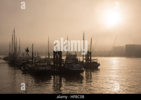 London, UK 28. Dezember 2016. Ein nebeliger Morgen am Hermitage Liegeplätze in London sorgt für magische Licht auf der Themse. © Patricia Phillips / Alamy Live News Stockfoto