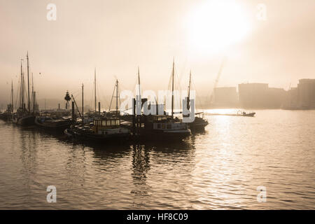 London, UK 28. Dezember 2016. Ein nebeliger Morgen am Hermitage Liegeplätze in London sorgt für magische Licht auf der Themse. © Patricia Phillips / Alamy Live News Stockfoto