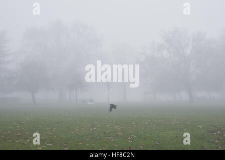 London, UK. 28. Dezember 2016. Nebel im Norden Londons. Bildnachweis: Matthew Chattle/Alamy Live-Nachrichten Stockfoto