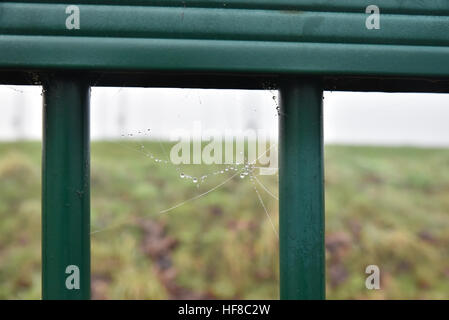 London, UK. 28. Dezember 2016. Nebel im Norden Londons. Bildnachweis: Matthew Chattle/Alamy Live-Nachrichten Stockfoto