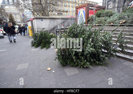 Köln, Deutschland. 28. Dezember 2016. Weihnachtsbäume liegen am Rande des Roncalli Platz in der Nähe der Kölner Dom in Köln, 28. Dezember 2016. Der Weihnachtsmarkt rund um den Dom ist derzeit abgerissen wird. Foto: Henning Kaiser/Dpa/Alamy Live News Stockfoto