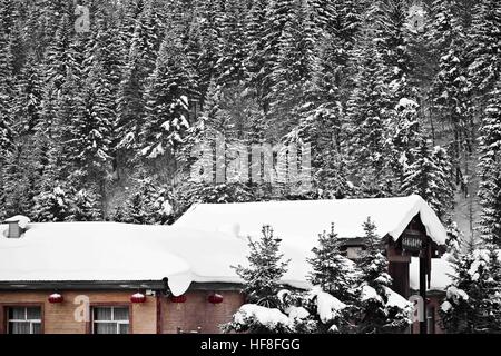 China. 28. Dezember 2016. Die tief verschneiten Wald Bauernhof in Hailin, Nordosten Chinas Provinz Heilongjiang. © SIPA Asien/ZUMA Draht/Alamy Live-Nachrichten Stockfoto