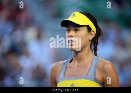 Melbourne, Australien. 20. Januar 2013. Firo: 20.01.2013, Tennis, Grand Slam, Australian Open 2013, Damen, Frauen, Ana IVANOVIC | Nutzung weltweit/Picture Alliance © Dpa/Alamy Live-Nachrichten Stockfoto