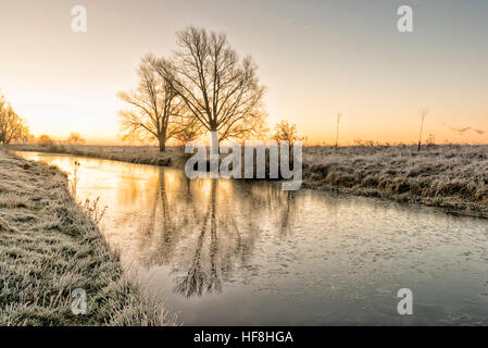 Willingham, Cambridgeshire, Großbritannien. 29. Dezember 2016. Die Sonne geht auf eine gefrorene Fenland Landschaft über den Old West River. Die Temperaturen sanken um rund um minus 4 Grad über Nacht mit einem weit verbreiteten Frost und lückenhaft Nebel im Morgengrauen. © Julian Eales/Alamy Live-Nachrichten Stockfoto