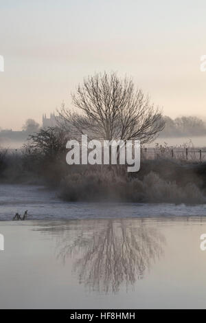 Wimborne, England. 29. Dezember 2016. Am frühen Morgennebel erhebt sich über dem Fluss Stour nahe Wimborne, Dorset. Wimborne Minster können in der Ferne gesehen werden. Bildnachweis: Eva Worobiec/Alamy Live-Nachrichten Stockfoto