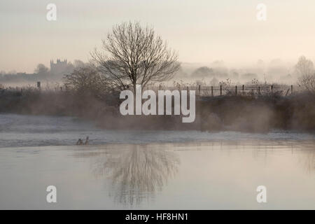 Wimborne, England. 29. Dezember 2016. Am frühen Morgennebel erhebt sich über dem Fluss Stour nahe Wimborne, Dorset. Wimborne Minster können in der Ferne gesehen werden. Bildnachweis: Eva Worobiec/Alamy Live-Nachrichten Stockfoto