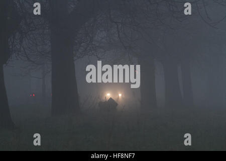 Wimbledon London, UK. 30. Dezember 2016. Autofahrer fahren Sie durch Einfrieren Nebel in Wimbledon © Amer Ghazzal/Alamy Live-Nachrichten Stockfoto