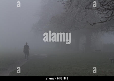 Wimbledon London, UK. 30. Dezember 2016. Ein Fußgänger geht durch dichten eiskalten Nebel in Wimbledon Common © Amer Ghazzal/Alamy Live-Nachrichten Stockfoto