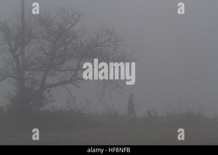 Wimbledon London, UK. 30. Dezember 2016. Eine Frau durch dichten eiskalten Nebel in Wimbledon Common © Amer Ghazzal/Alamy Live-Nachrichten Stockfoto