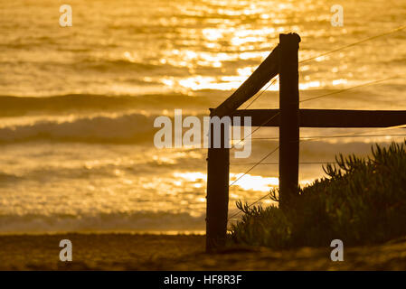 Ein goldener Sonnenaufgang und ein Pfad, der zu einem Strand in Sydney führt, während die Sonne über dem Ozean in Sydney, Australien aufgeht Stockfoto