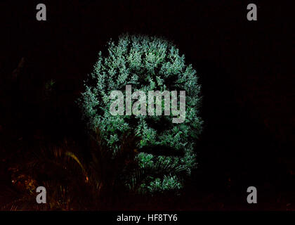 Sprechender Baum, Kaiser Karl IV, Karlsbad, stilsicheren, sprechen, Baum, Kaiser Karl IV, Karls Bad, Tschechien Stockfoto