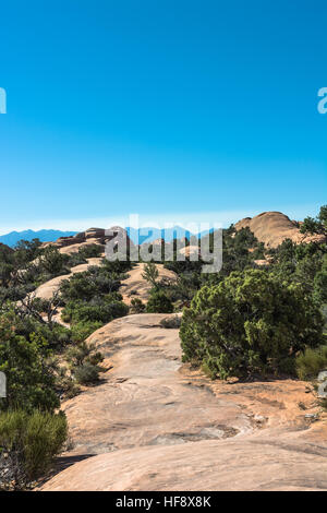 Primitive Trail im Arches National Park, Utah Stockfoto