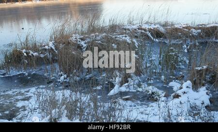 Trockenrasen in der Schnee Eis gefrorenes Wasser Natur Flusslandschaft Stockfoto