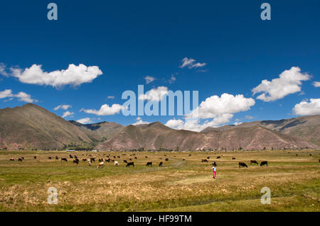 Peruanischen Altiplano Landschaft im Orient-Express verläuft zwischen Cuzco und Puno Andean Explorer Zug aus gesehen. Altiplano ist ein Hochplateau Stockfoto