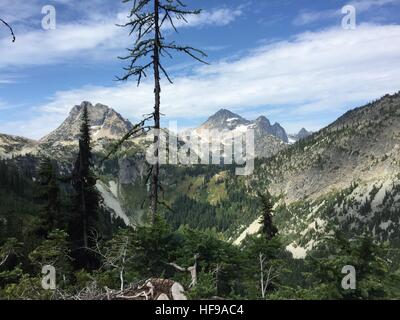 North-Cascades-Nationalpark, Washington: Ahorn-Rundwanderweg Stockfoto