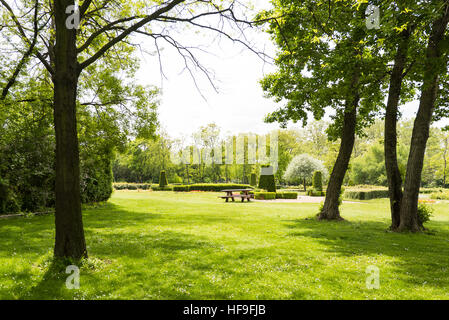 Blick auf Donaupark mit grünem Rasen, Bäume und Bank, Österreich Stockfoto