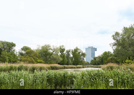 Blick auf Vienna international Center, UNO-City und Bürogebäuden gesehen von Donaupark, Österreich Stockfoto