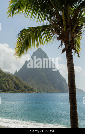Strand-Blick über die Bucht bei Soufriere auf das Meer und die Piton Berge. Umrahmt von einer Palme Stockfoto