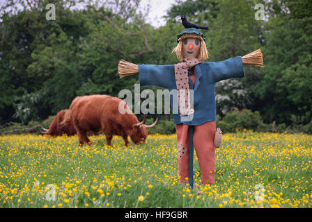 Vogelscheuchen von Polly Wasserkocher. Stockfoto