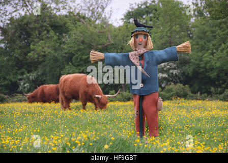 Vogelscheuchen von Polly Wasserkocher. Stockfoto