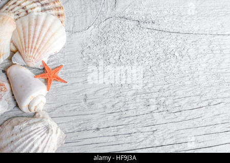 Draufsicht von Muscheln und orange Seestern über hölzerne strukturierten Hintergrund. Stockfoto