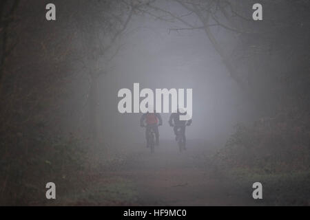 Radfahrer macht ihren Weg durch den dichten Nebel im Epping Forest, Essex. Stockfoto