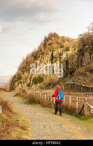 Eine Frau zu Fuß auf einem Fußweg auf dem Lande in Borrowdale in der Nähe von Schloss-Felsen in der Seenplatte Cumbria im Winter tragen Stockfoto