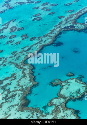 Great Barrier Reef von oben, Queensland, Australien Stockfoto