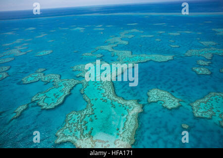 Great Barrier Reef von oben, Queensland, Australien Stockfoto