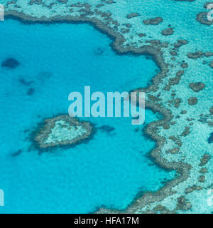 Great Barrier Reef von oben, Queensland, Australien Stockfoto