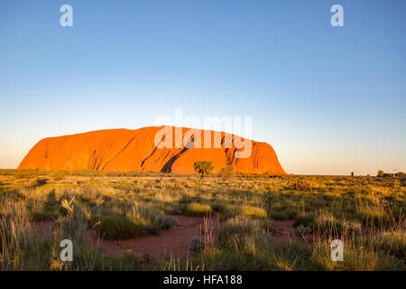 Uluru, Red Center, Northern Territory, Australien. Stockfoto