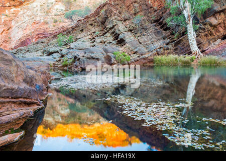 Hamersley Gorge, Karijini, Westaustralien Stockfoto