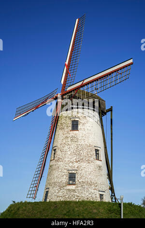 Die Schellemolen / Schelle Mühle, traditionelle Windmühle entlang des Kanals Damse Vaart in der Nähe von Damme, West-Flandern, Belgien Stockfoto