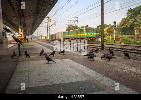 Güterzug der indischen Eisenbahn überqueren einer menschenleeren Bahnsteig an einem nebligen Wintermorgen. Stockfoto