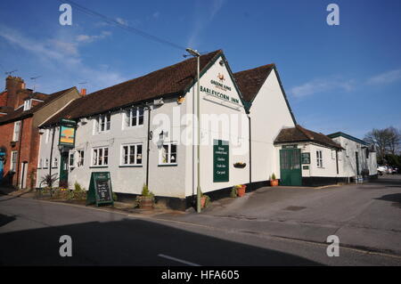 Rund um Bishop's Waltham ein Dorf in Hampshire in Großbritannien, England, Heimat der Ruinen des Bishops Palace Stockfoto