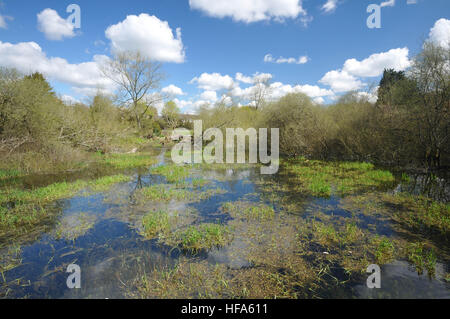 Rund um Bishop's Waltham ein Dorf in Hampshire in Großbritannien, England, Heimat der Ruinen des Bishops Palace Stockfoto