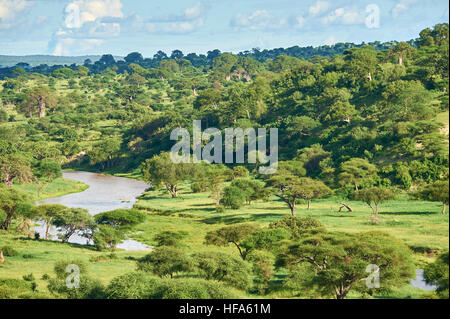 Panoramablick von der Tarangire River Valley in den Tarangire Nationalpark, Tansania Stockfoto