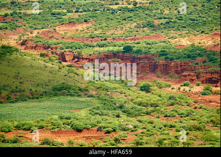 Erosion durch Abholzung, Landbau und Ziege Weiden (Ngorongoro Highlands, Tansania) Stockfoto