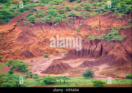 Erosion durch Abholzung, Landbau und Ziege Weiden (Ngorongoro Highlands, Tansania) Stockfoto