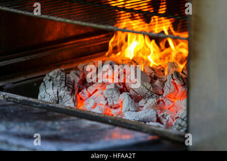 Flammen und Glut im Holzkohleofen Stockfoto