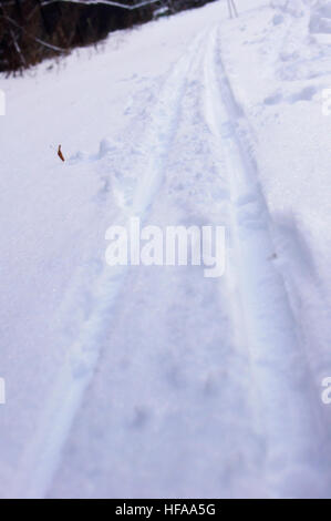 Langlauf-Loipe auf dem Schnee Stockfoto