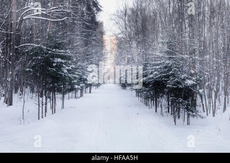 Gasse im Winter Stadtpark Stockfoto