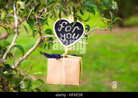 Geschenkbox mit Lavendel Zweig für Sie auf Clip Etikett, Valentinstag, Hochzeit, Liebe, romantische Konzept Schriftzug auf einem Ast hängen Stockfoto