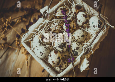 Wachteleier in einer gefütterten Drahtkorb, auf Stroh, mit Beige trockene Blumen und Lavendel Zweige auf Scheune Holz Hintergrund, Ostern, rustikal Stockfoto