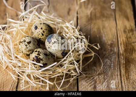 Wachteleier in einem Stroh Nest auf Holz Hintergrund, Verwandten style, Ostern, Landwirtschaft, Land-Life-Konzept Stockfoto