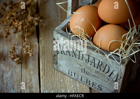 Frischen braunen Eiern auf Stroh in der Scheune, ein Vintage shabby chic Holz-Box, Beige Trockenblumen Holz Hintergrund, Ostern, Verwandten, minimalistisch Stockfoto