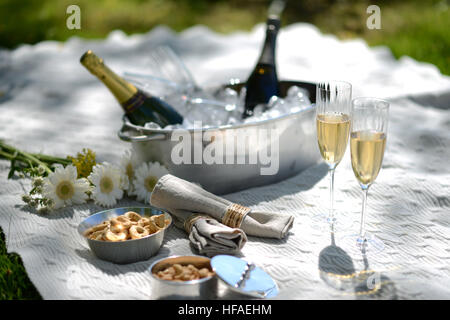 Luxus-Sommer-Picknick mit Champagner und Silberwaren Stockfoto
